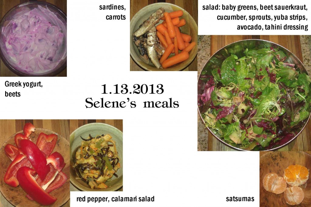 1.13.2013 Selene's meals