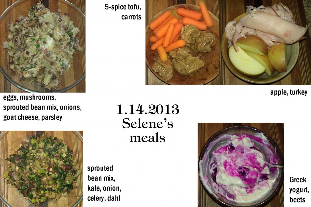 1.14.2013 Selene's meals
