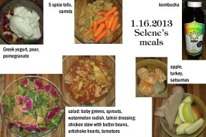 1.16.2013 Selene's meals
