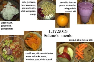 1.17.2013 Selene's meals
