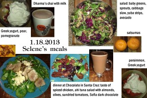 1.18.2013 Selene's meals