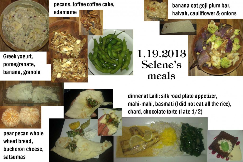 1.19.2013 Selene's meals