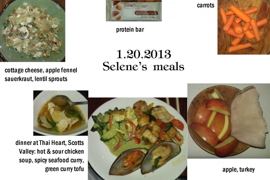 1.20.2013 Selene's meals