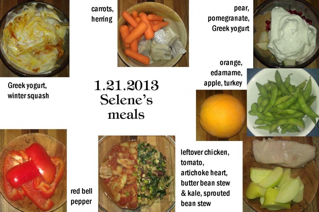 1.21.2013 Selene's meals