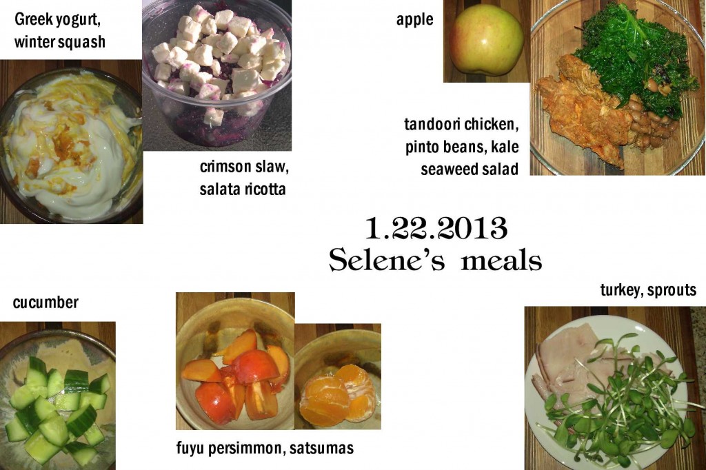 1.22.2013 Selene's meals