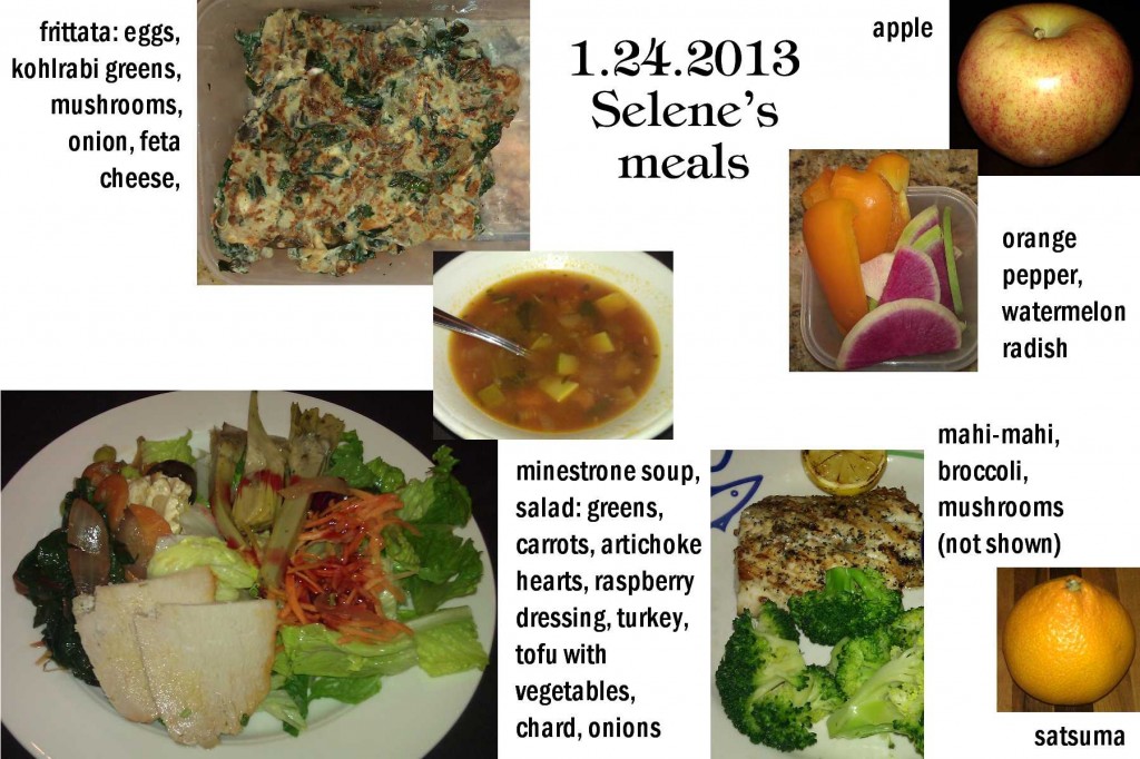 1.24.2013 Selene's meals