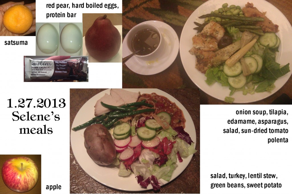 1.27.2013 Selene's meals