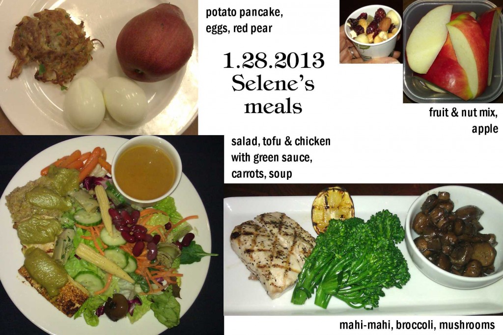 1.28.2013 Selene's meals