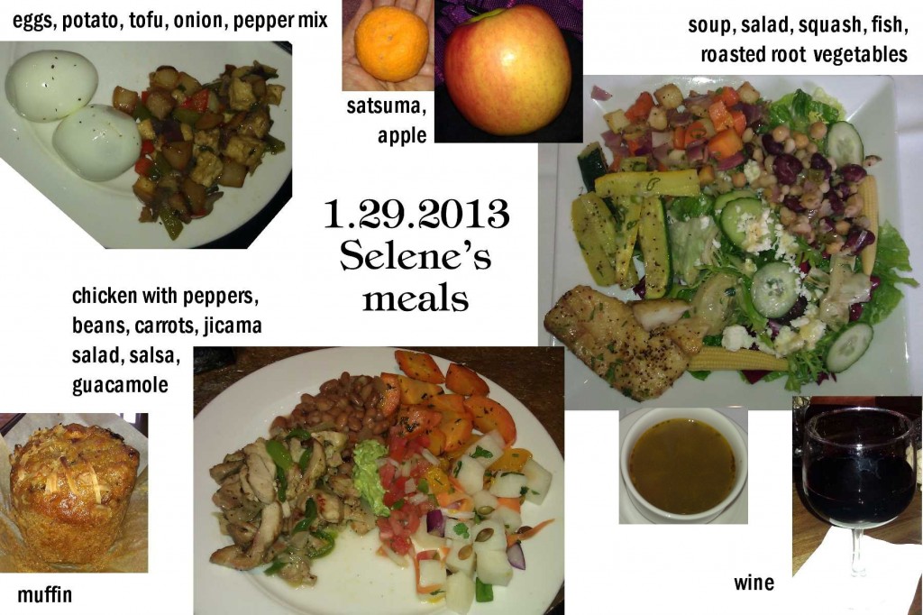 1.29.2013 Selene's meals
