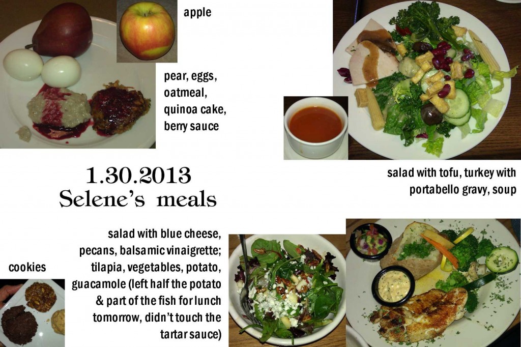 1.30.2012 Selene's meals